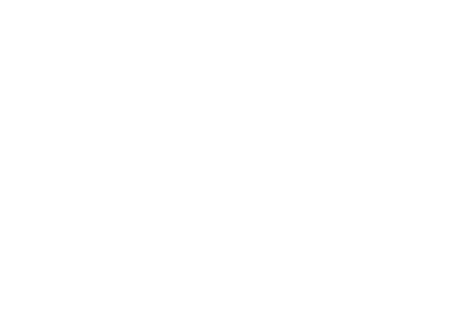 NBSI_Peru_Logo